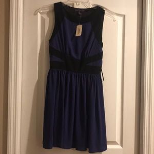 Black and Purple Skater Dress